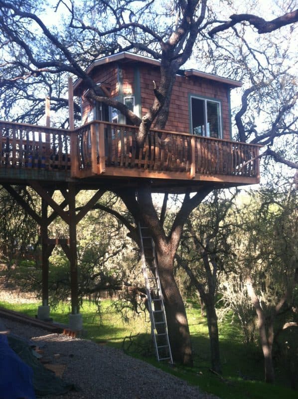 THE TREE HOUSE WITH A DECK