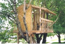 THE OPEN TREE HOUSE