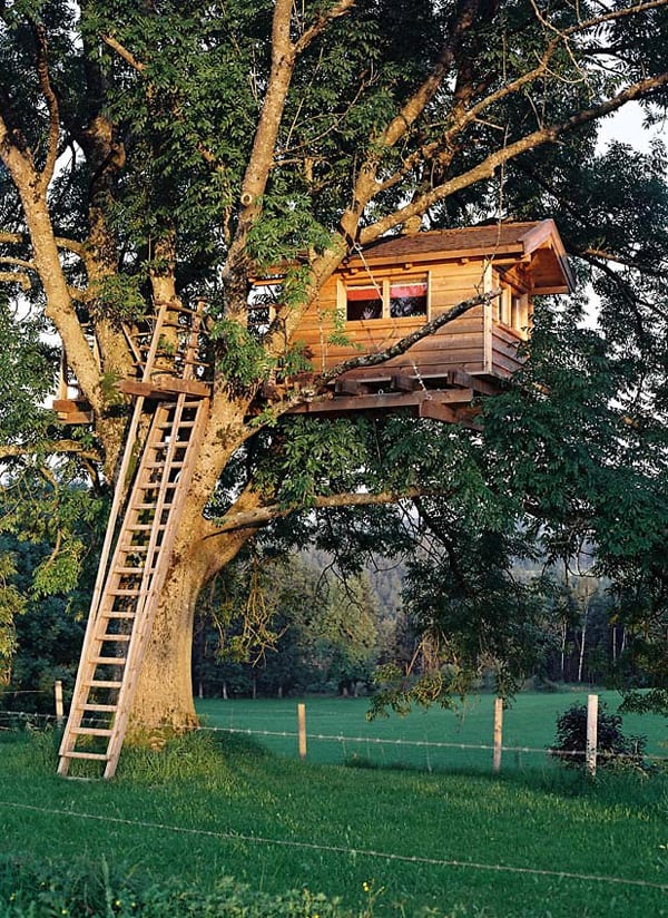 THE OFF-GRID TREE HOUSE