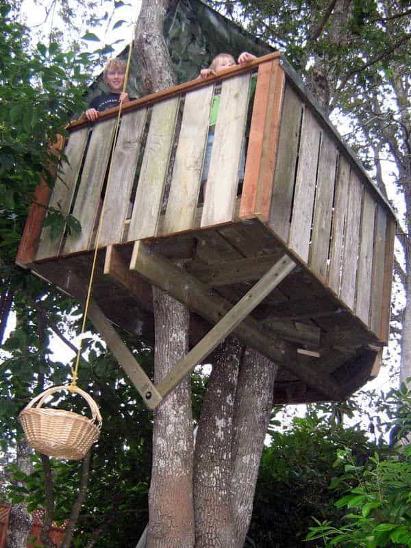 THE TREE FORT