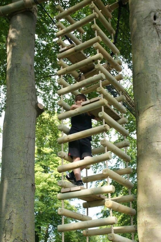 THE FOUR-SIDED LADDER TREE HOUSE