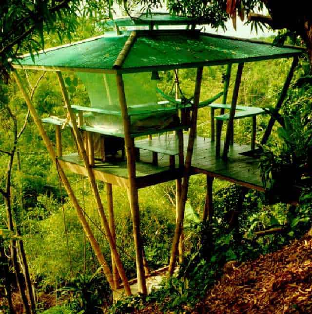 THE CLIFF-SIDE TREE HOUSE