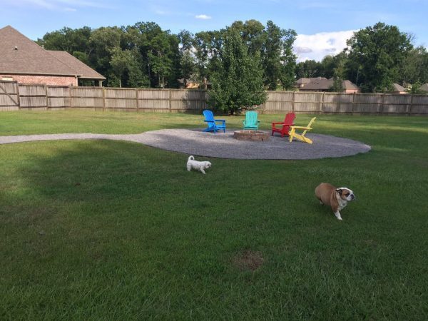 BASIC FIRE PIT AND SEATING