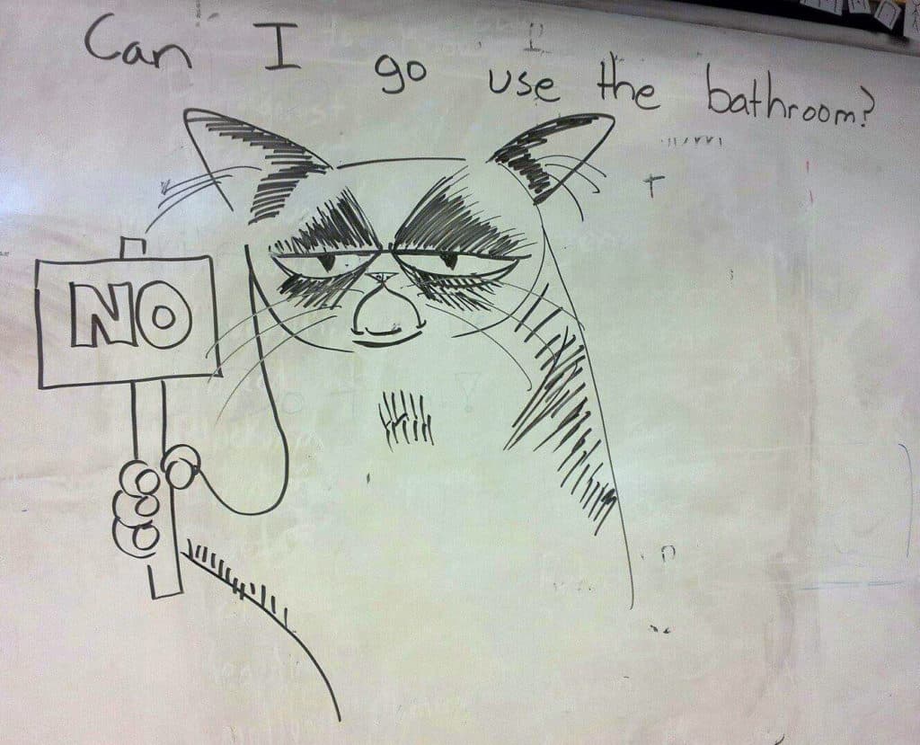 Grumpy Cat Saying No