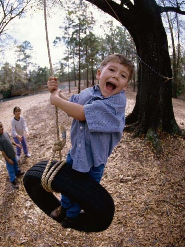 THE HANGING TIRE SWING