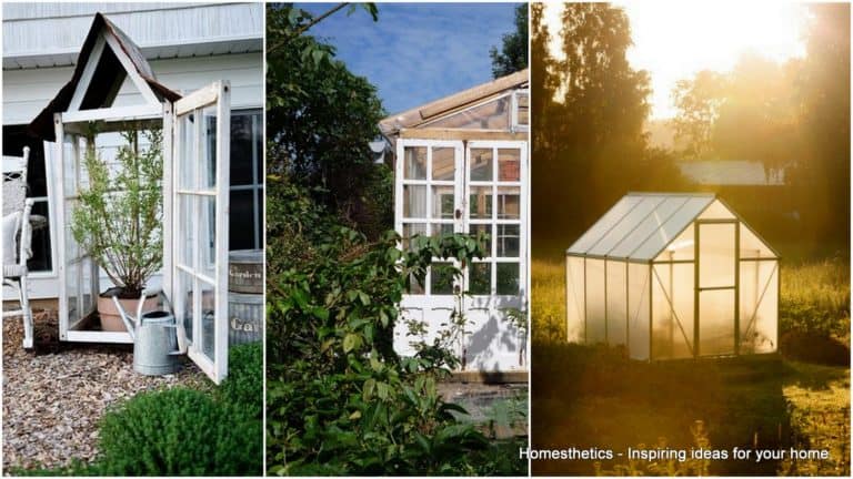 72 DIY Greenhouse Plans to Build Easily in Your Own Garden
