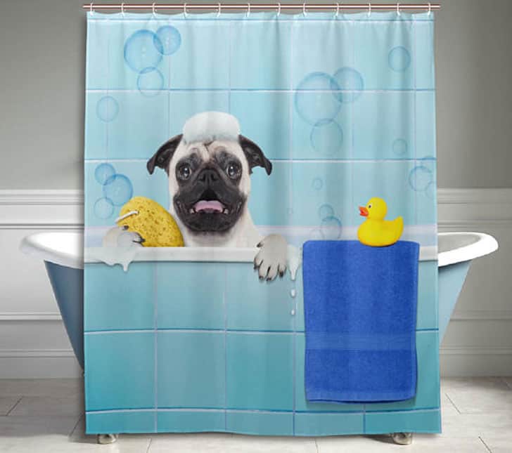 PUG DOG SHOWER CURTAIN