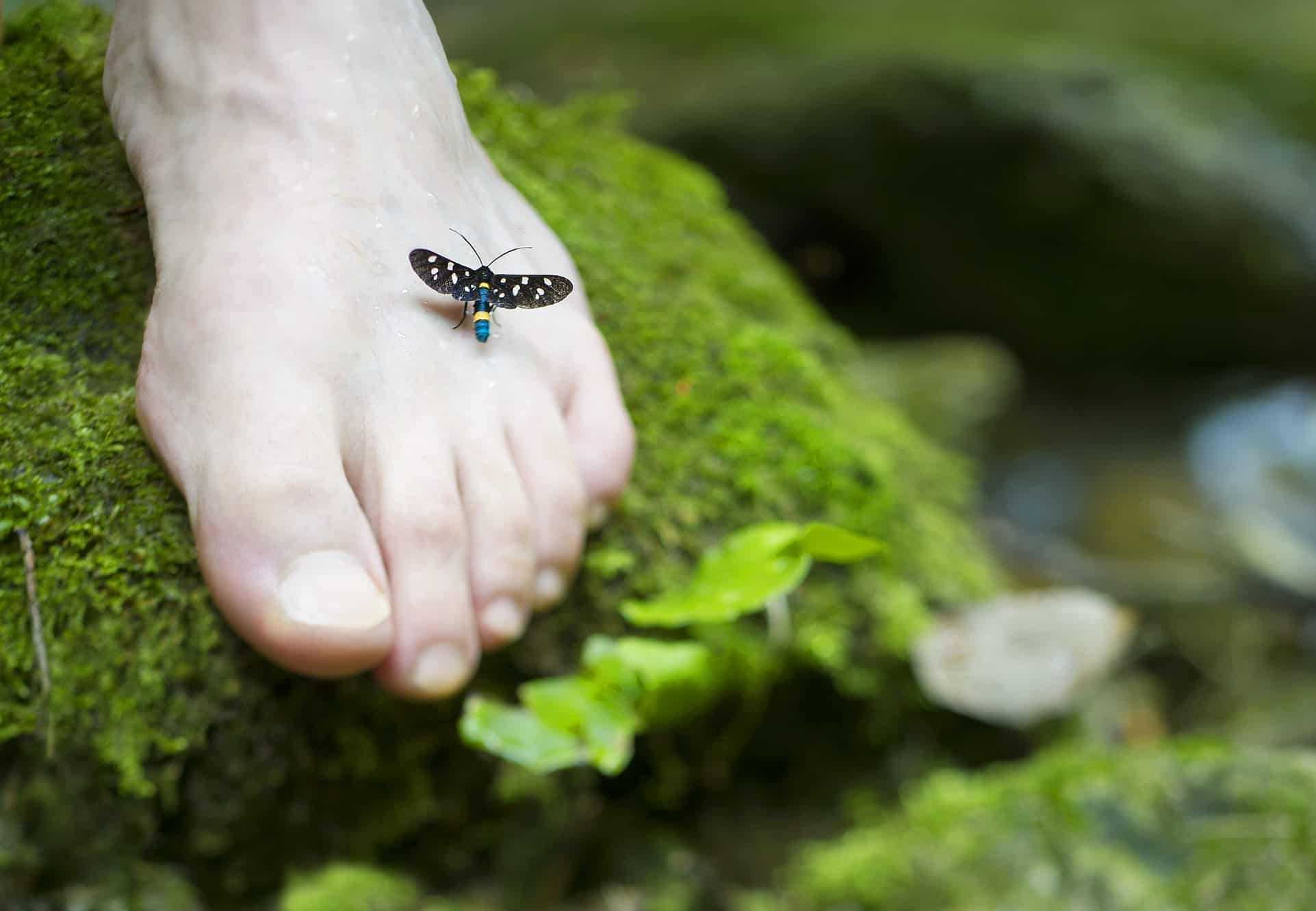 Learn How to Craft Your Own Moss Shower Mat at Home