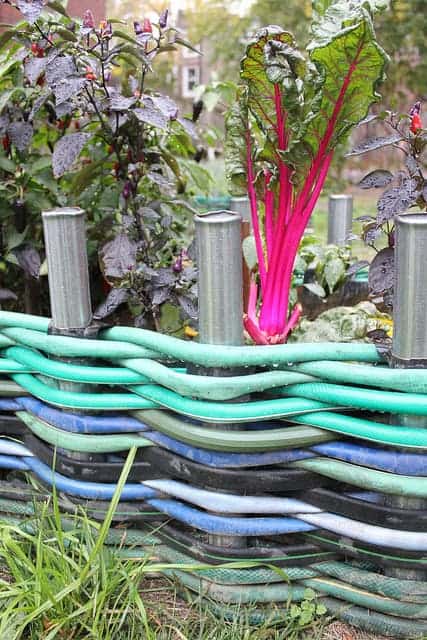  Garden Hoses Woven Into an Edging