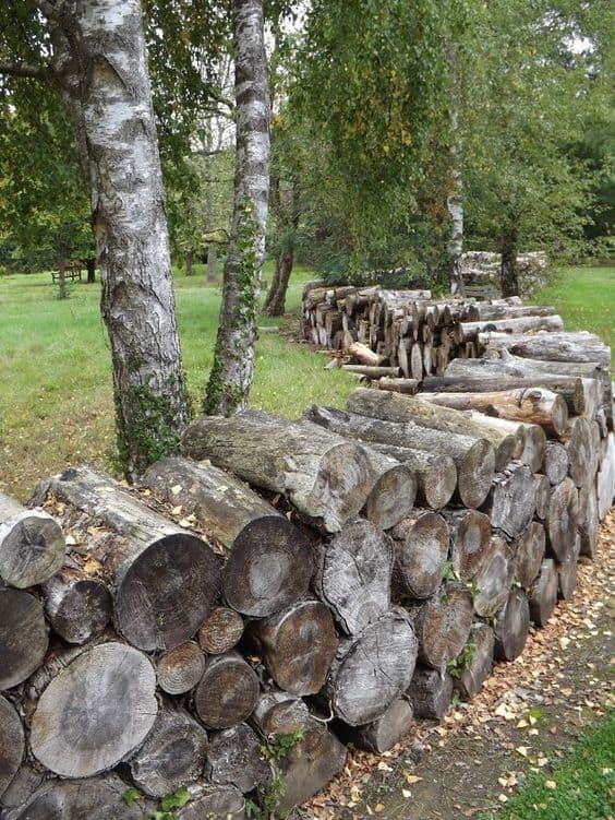 48. Scale Logs to Create The Edge Required