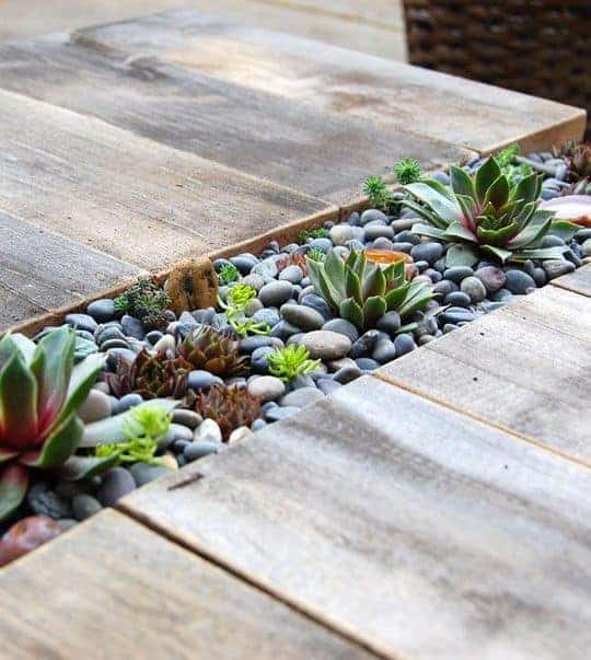 66. Rocks and Succulent Edging