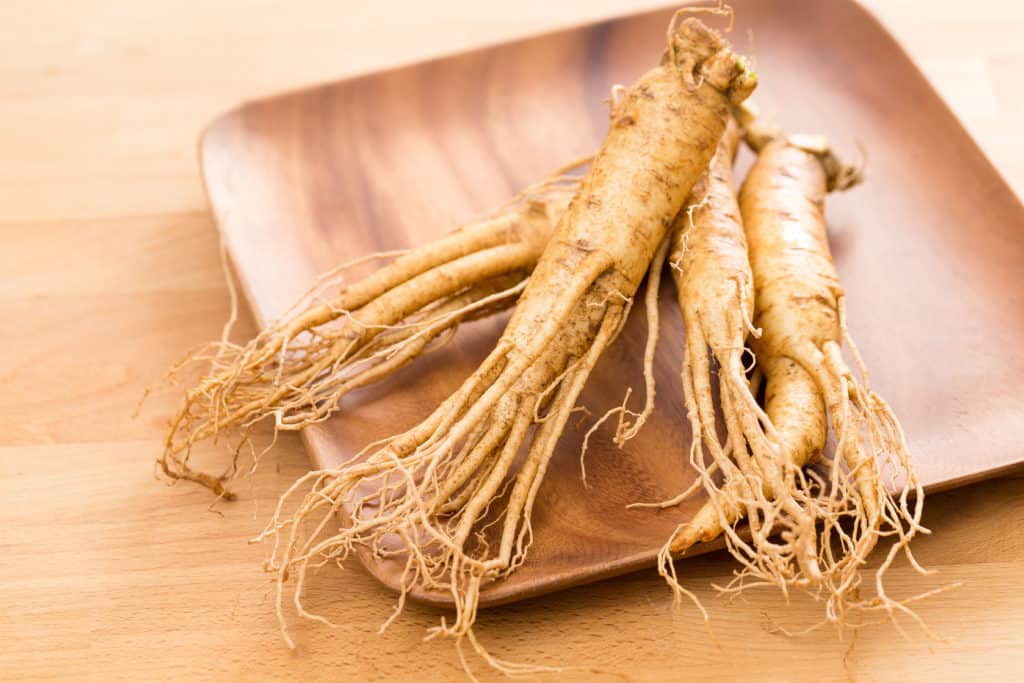 21.Ginseng 53 OF THE BEST GREENHOUSE PLANTS FOR HAPPY GARDENERS AND GARDENS
