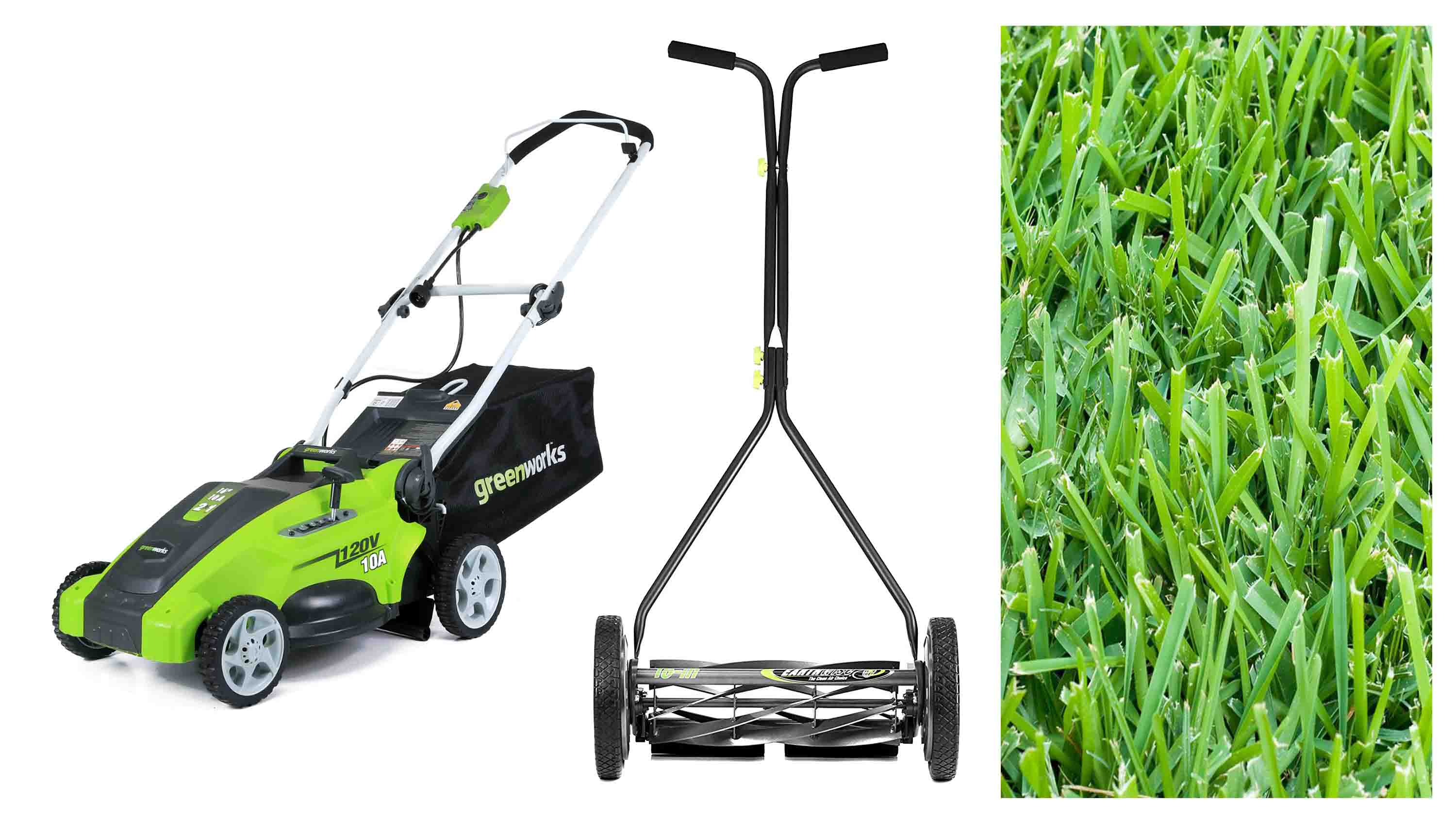 Lawn Mower for St Augustine Grass