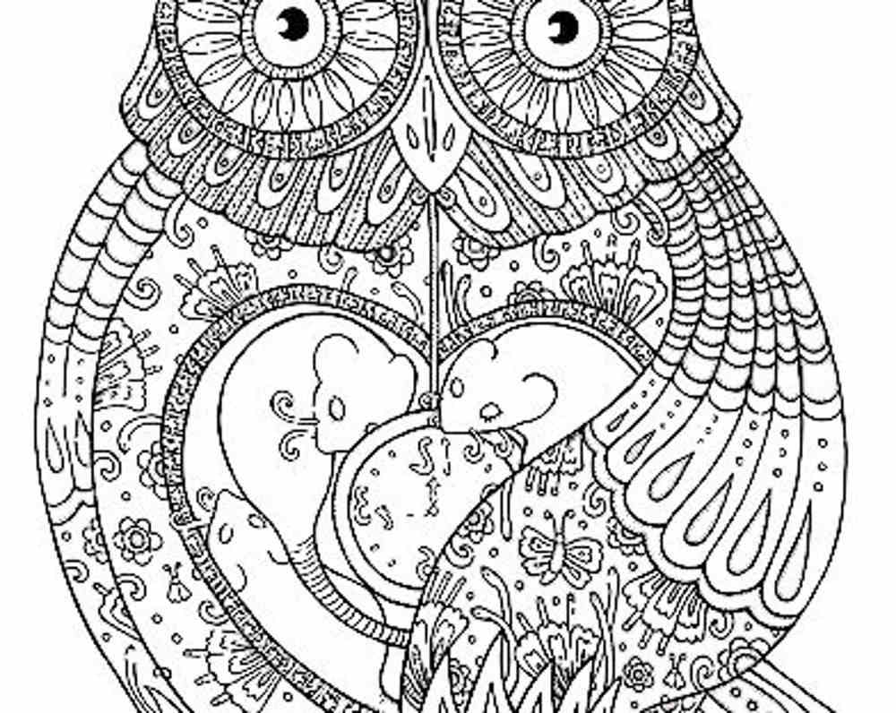 artistic owl