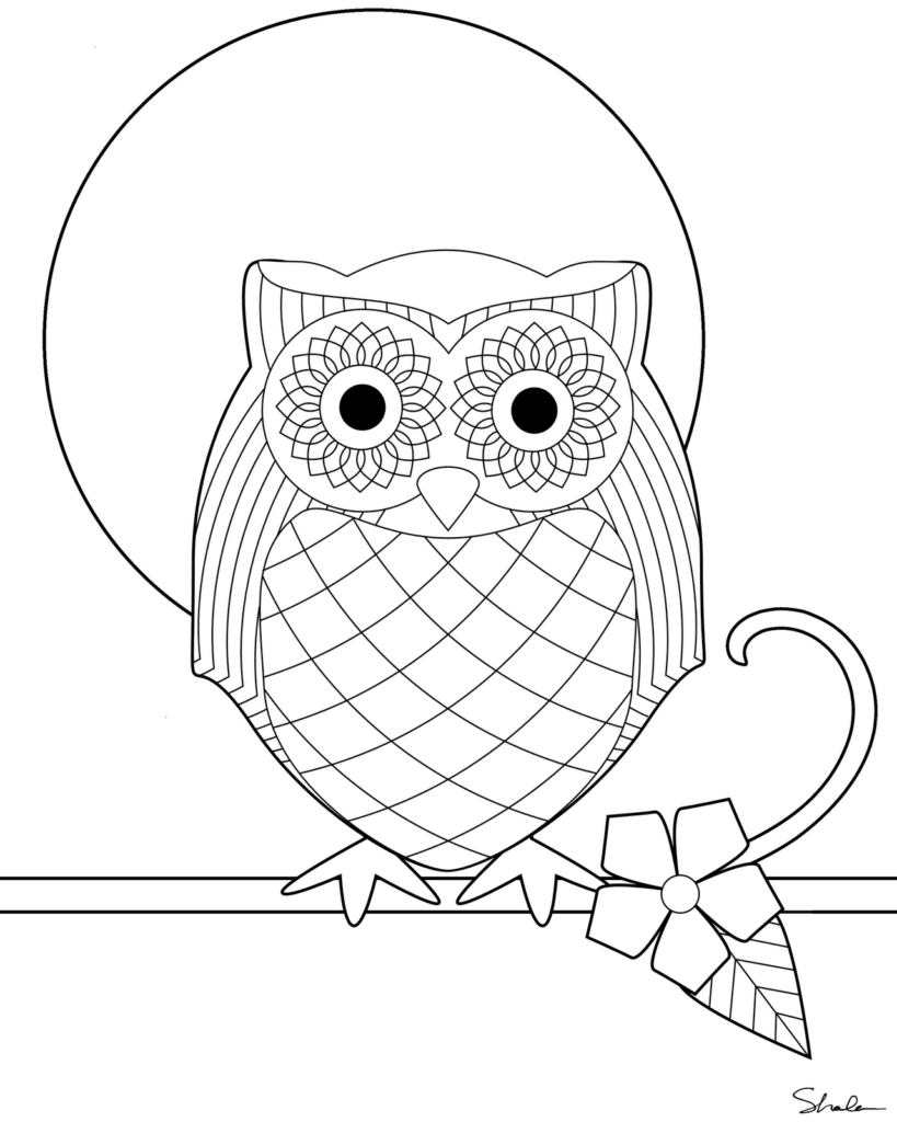 minimalist owl