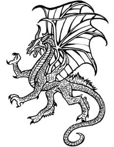 oriental dragon