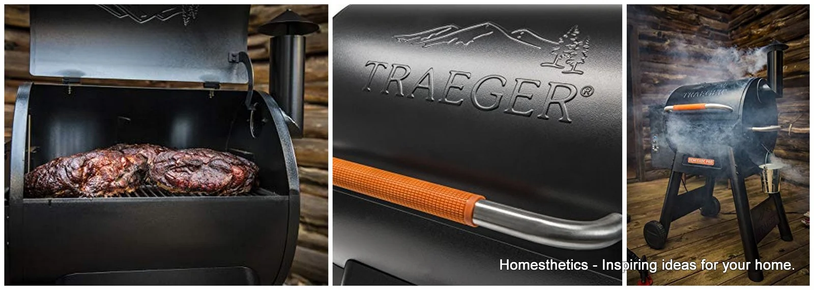Traeger Renegade Pro Review