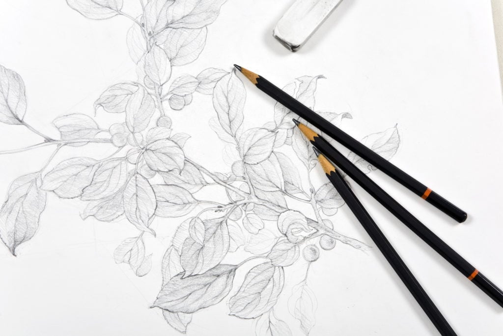 Sketch of a leafy branch in a sketchbook with three pencils . Drawing Books For Beginners.