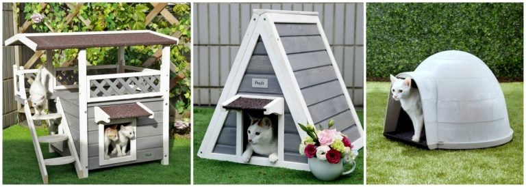 Best Outdoor Cat Houses