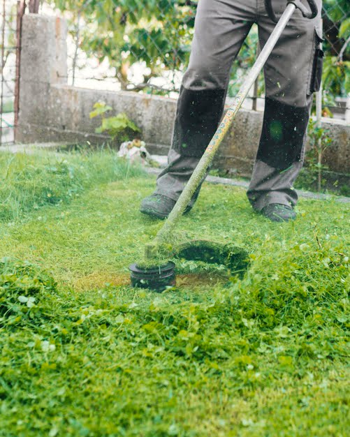 Best Shoes for Cutting Grass 1