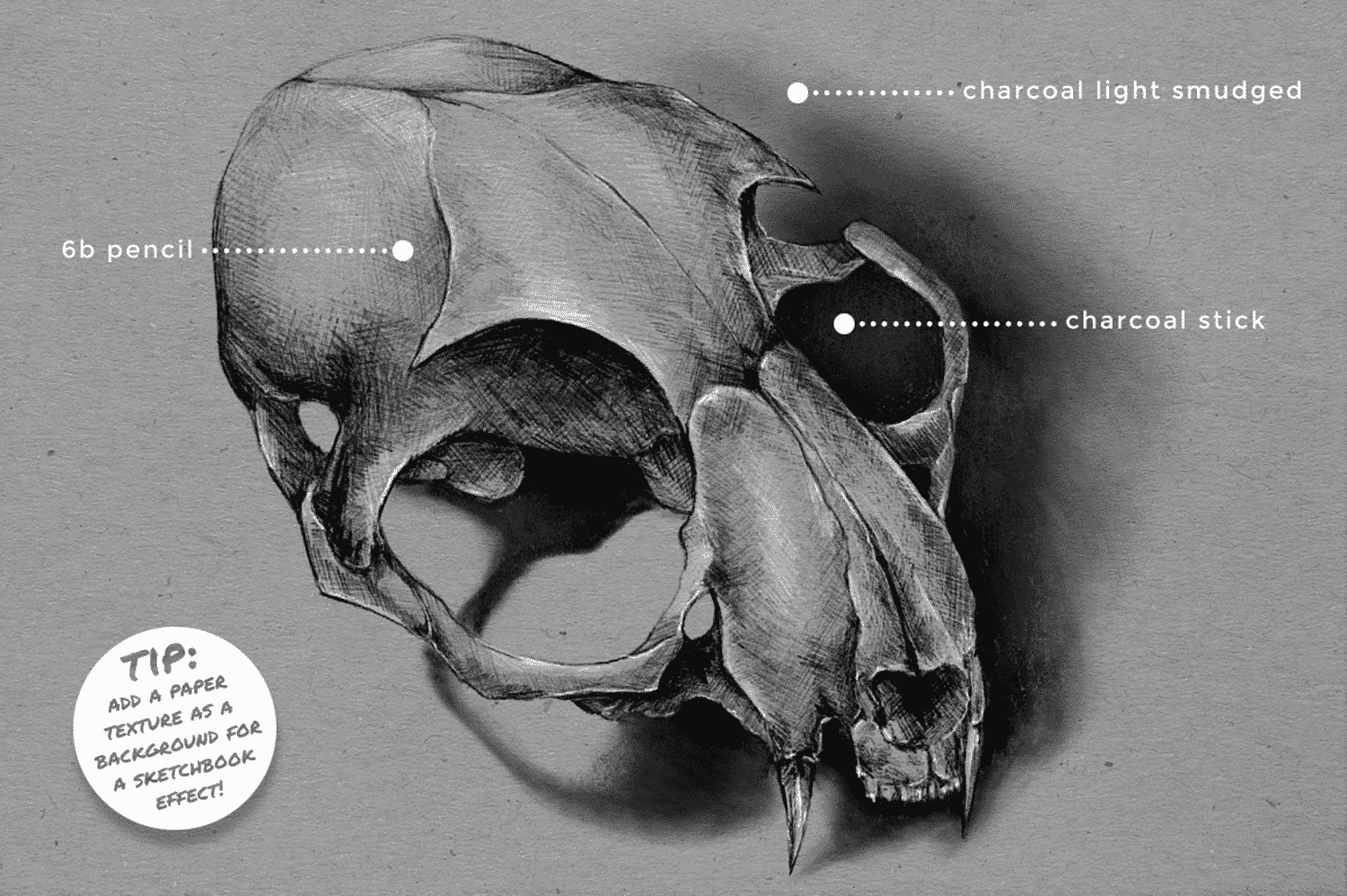 33. Pencil & Charcoal Procreate Brushes