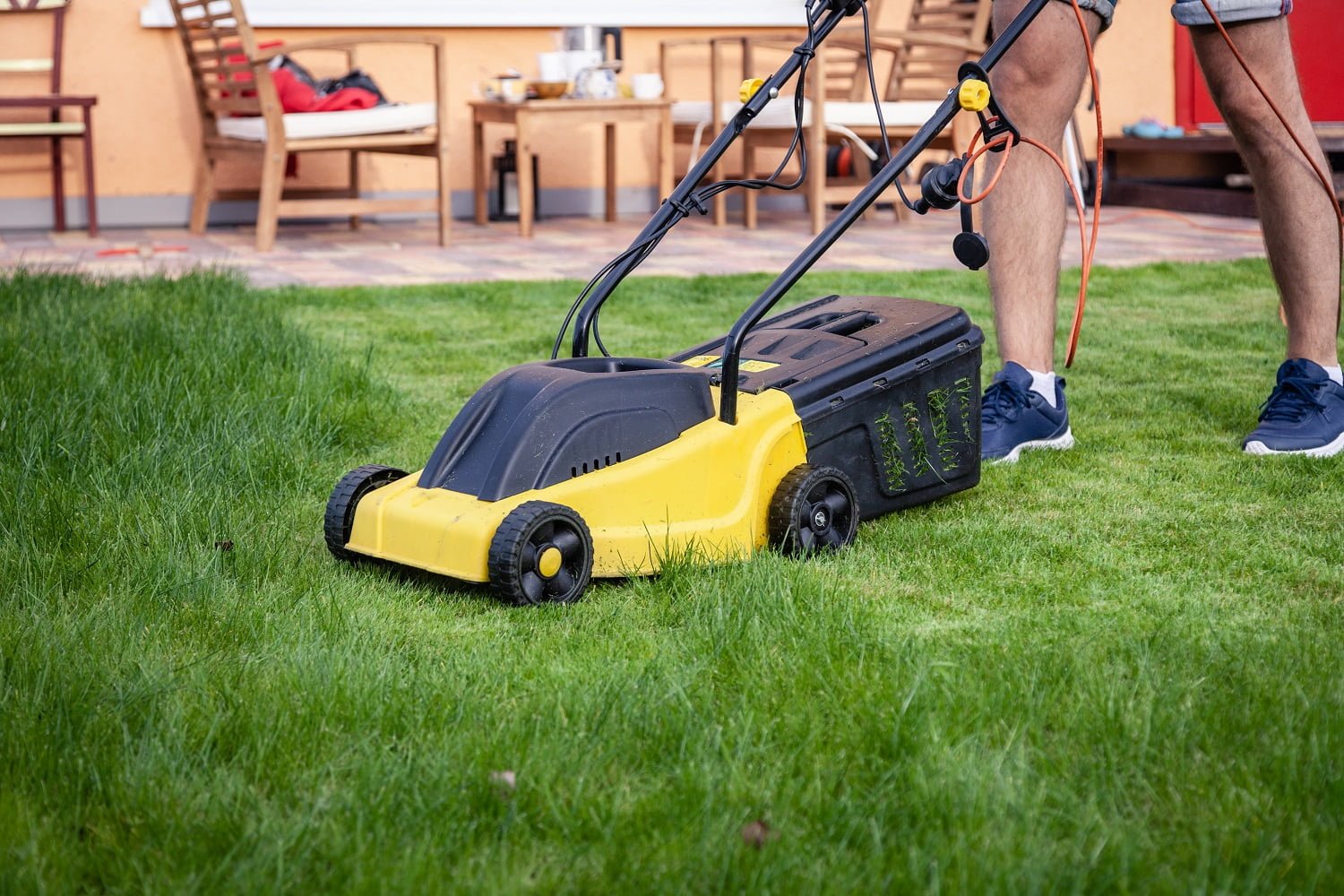 Lawn mower, green grass, equipment, mowing, gardener, care, work, tool, home, housekeeper on work