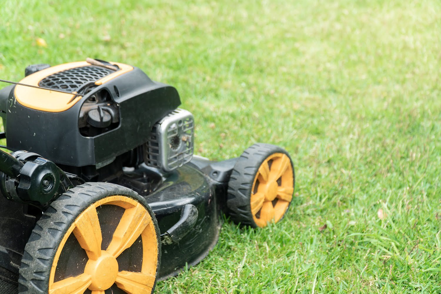 Lawn mower on green grass with copy space for text. Garden work concept background