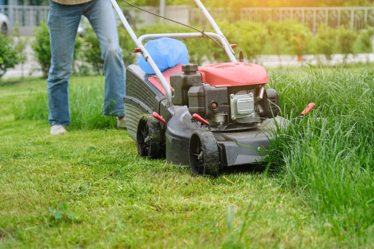 9 Best Easy Start Lawn Mowers For Your Home