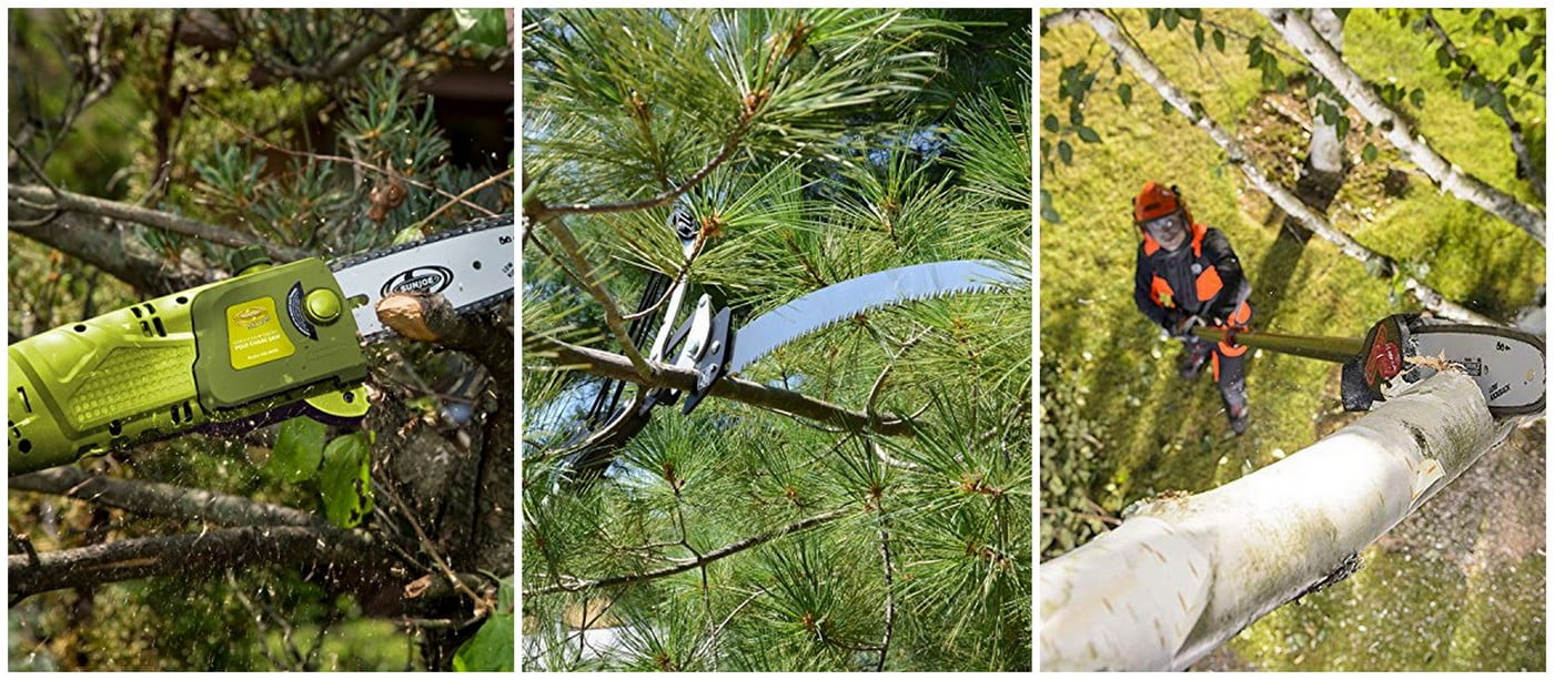 Pole Saws For Tree Pruning