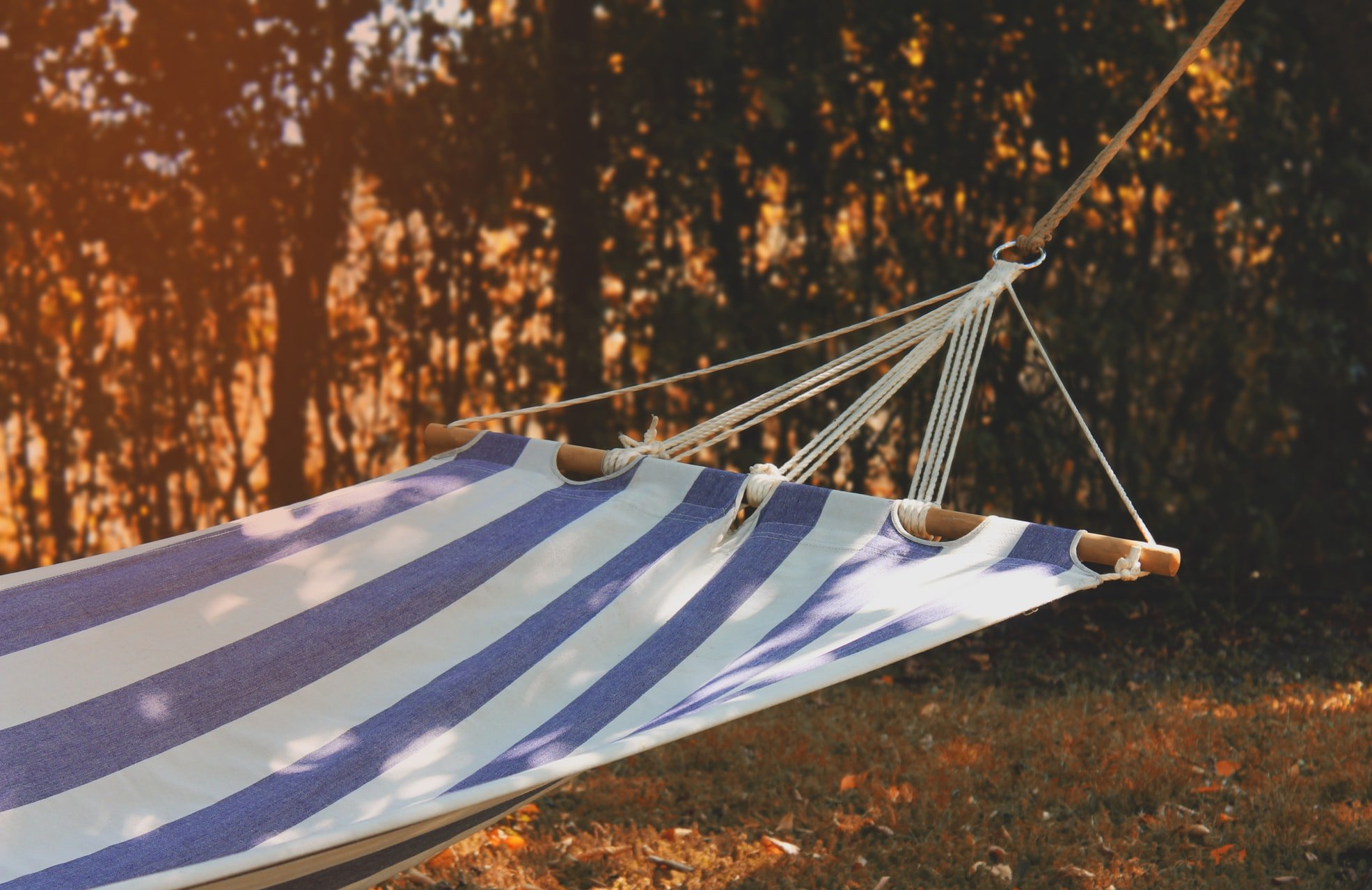 Most Comfortable Hammocks 3