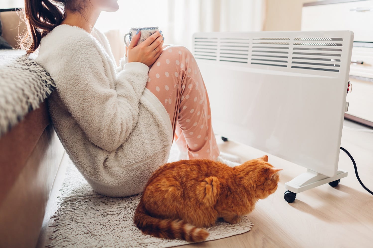 Using heater at home in winter. Woman warming and drinking tea with cat sitting by device and wearing warm clothes. Heating season.