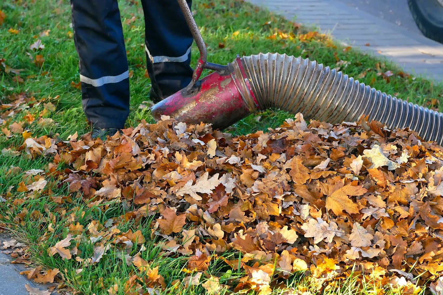 Worker clearing up the leaves using a leaf blower tool
