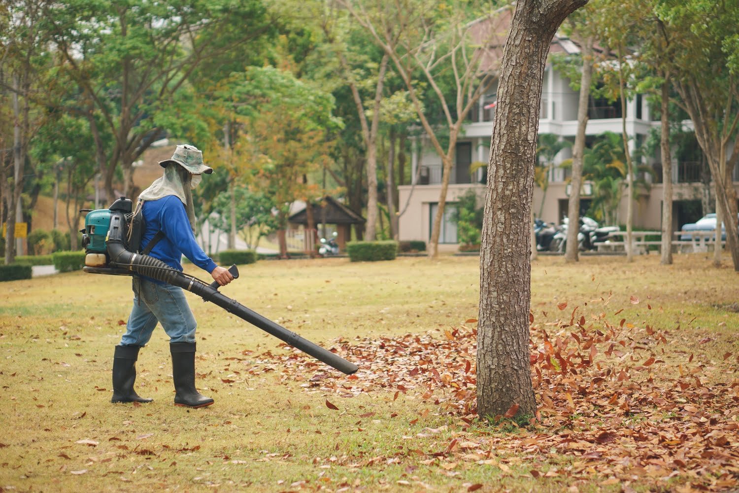 Worker cleans Autumn leaves in the park by blower machine