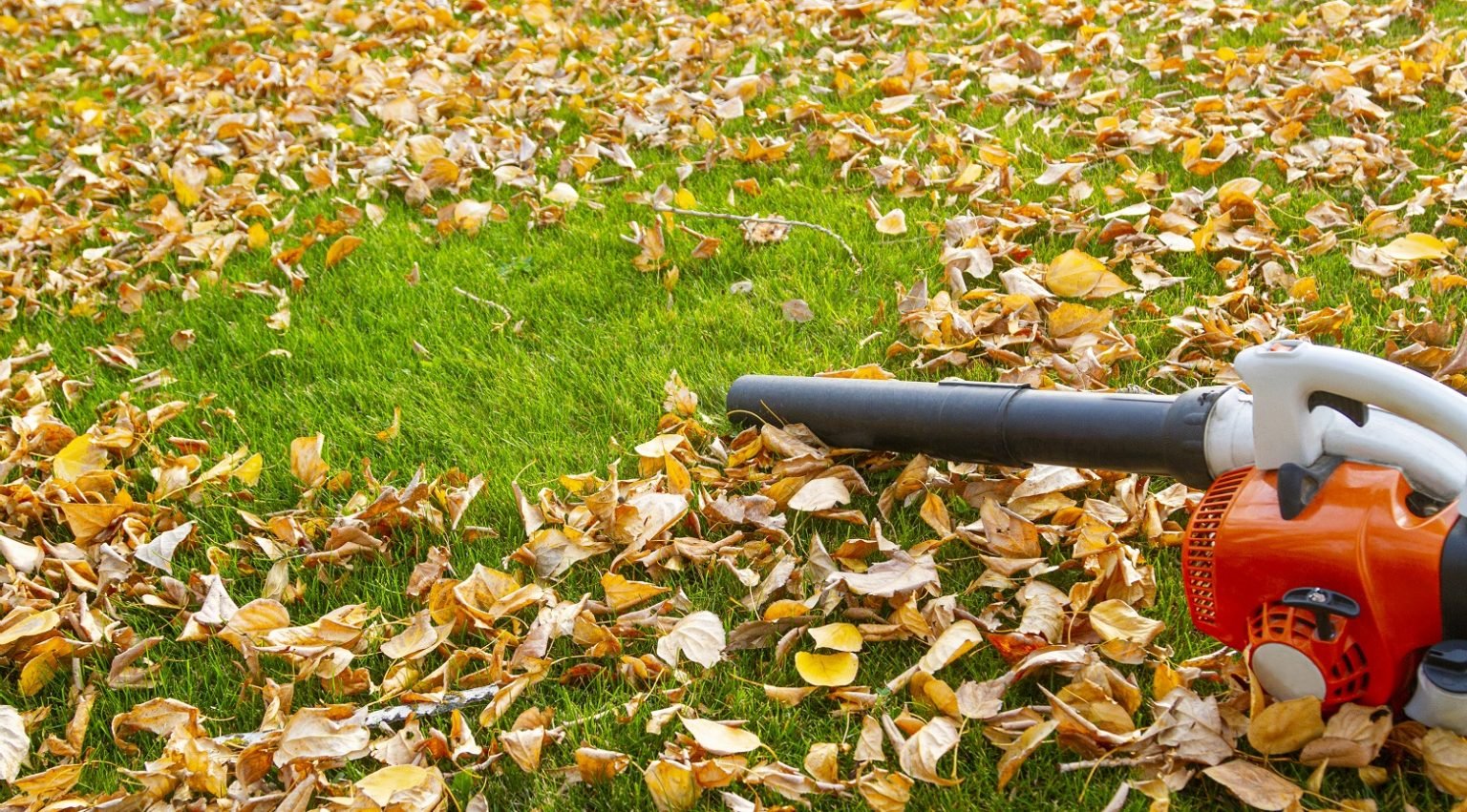 8 Most Powerful Leaf Blowers To Consider In 2023