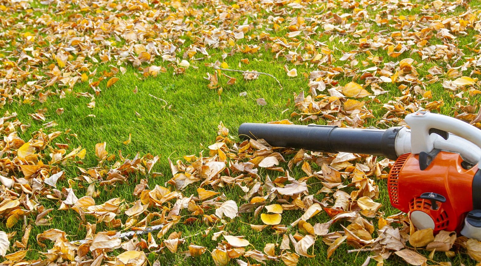 Most Powerful Leaf Blowers