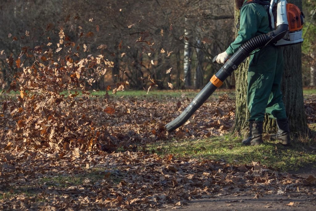 8 Most Powerful Leaf Blowers To Consider In 2023