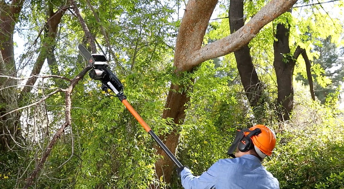 Longest Pole Saws For Tree Pruning Guide
