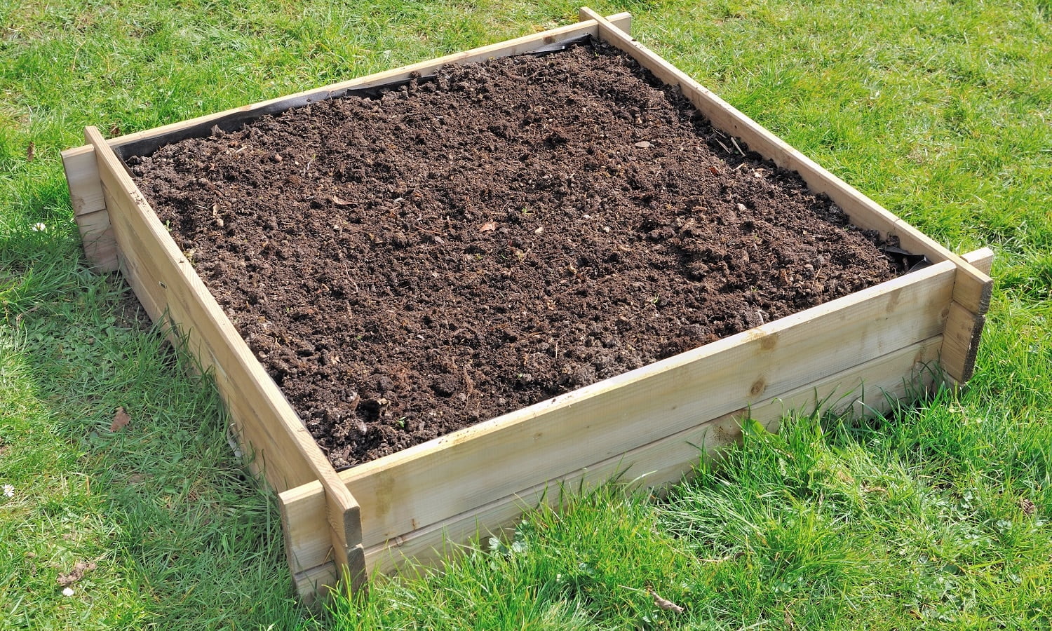 soil in a square wooden tray for mini vegetable garden