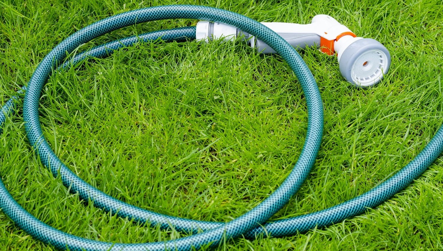 Green hose for watering lies on grass, lawn. Studio Photo