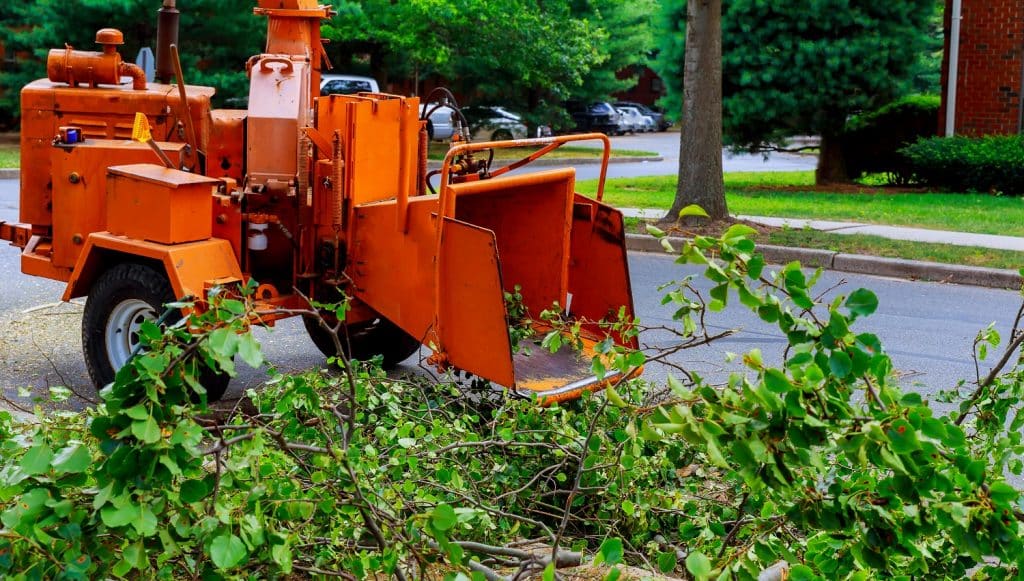 7 Best Leaf Mulchers & Shredder In 2023