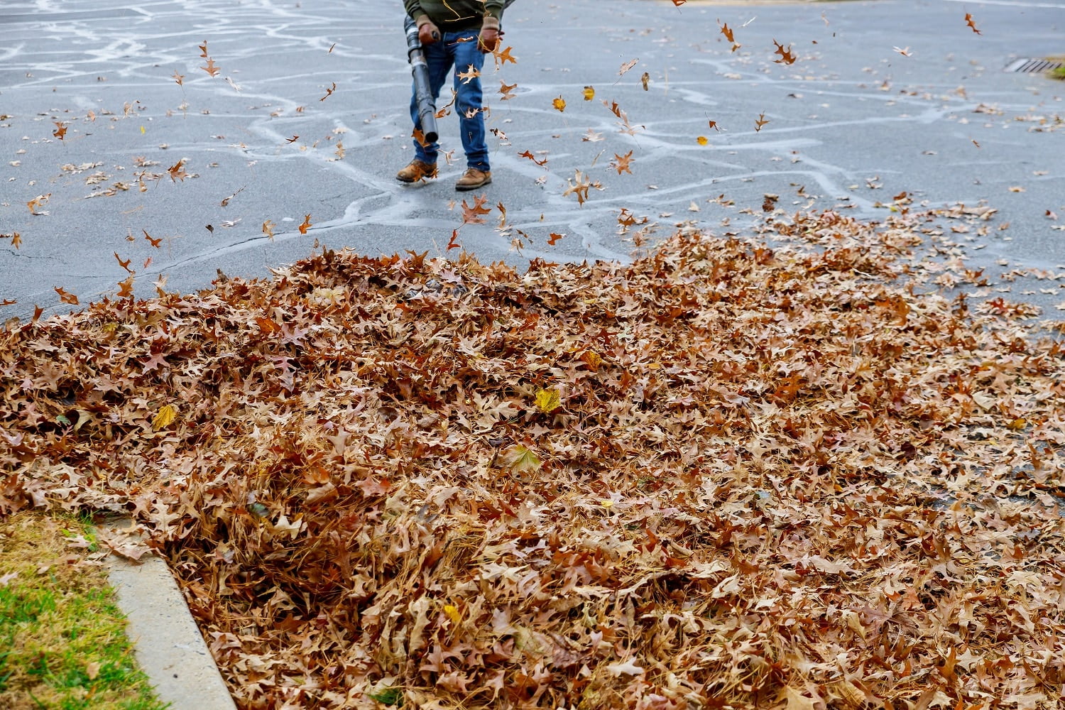 Man working with leaf blower: the leaves are up and down on a sunny day
