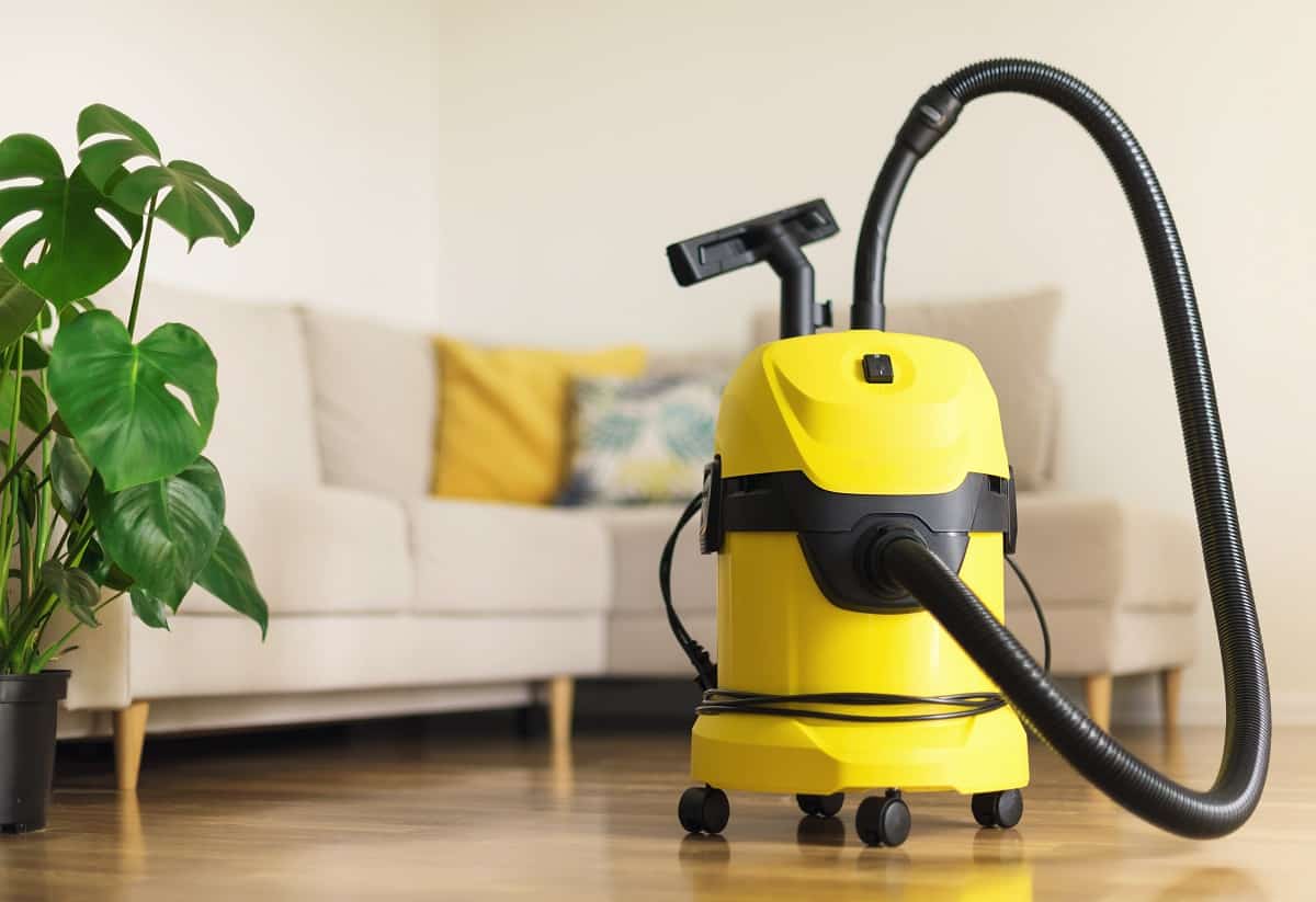 Yellow modern vacuum cleaner in living room. Copy space. Flat clean vacuuming concept. Green monstera plant.