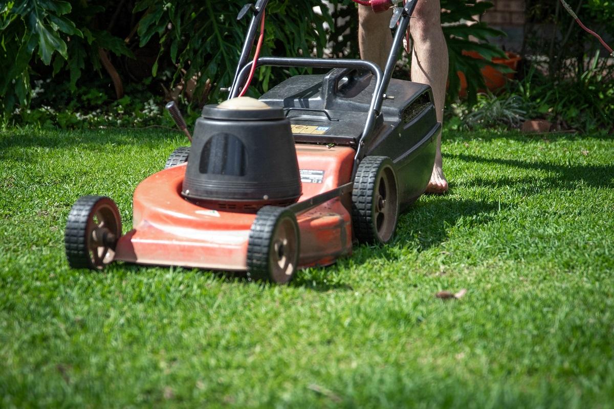 Best Battery Powered Lawn Mowers