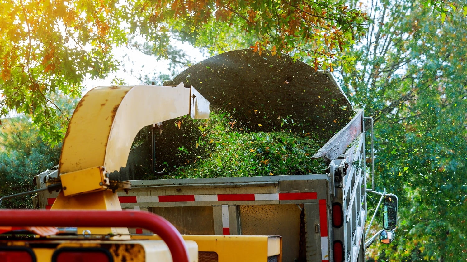 Landscapers using wood chipper in chipper mulcher chips into the back of a truck.