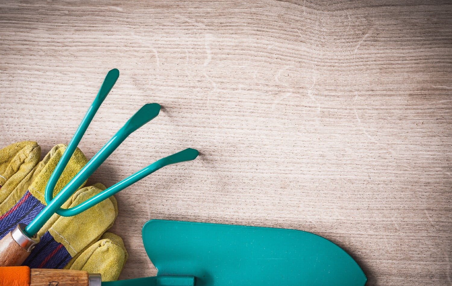 Gardening hand spade with metal rake and rubber safety gloves on wooden surface agriculture concept.