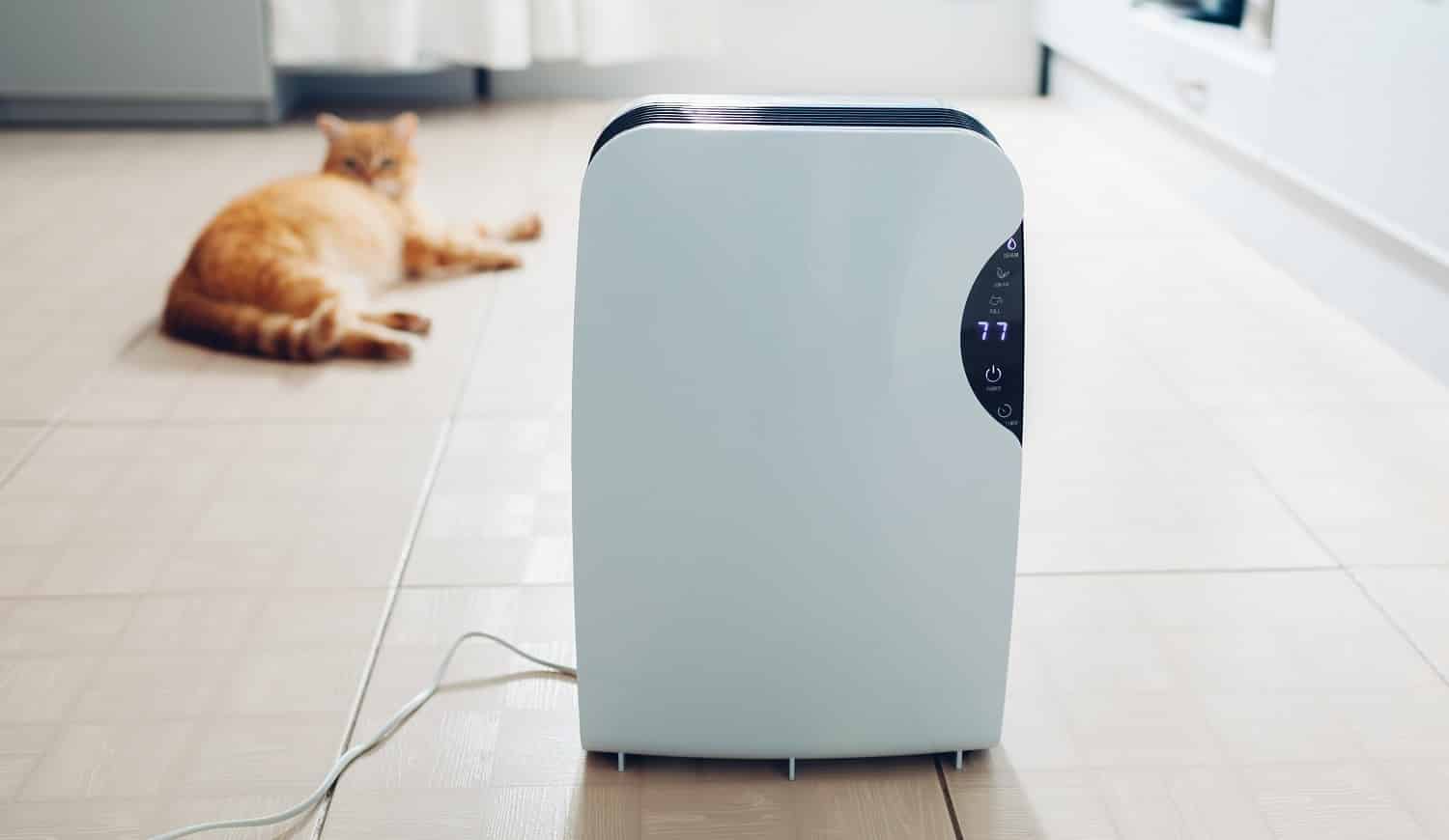 Dehumidifier with touch panel, humidity indicator, uv lamp, air ionizer, water container works at home while cat relaxing on kitchen. Air dryer