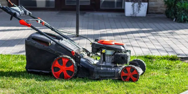 Lawn mower cutting green grass in backyard on a sunny day. Garden cleaning services.
