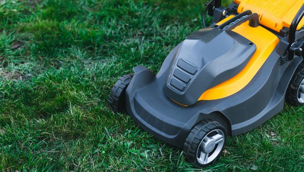 Troy Bilt TB230 Review