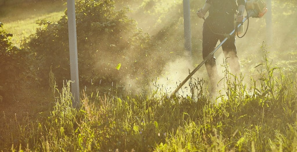 5 Best Brush Cutters Of 2023 Right Now