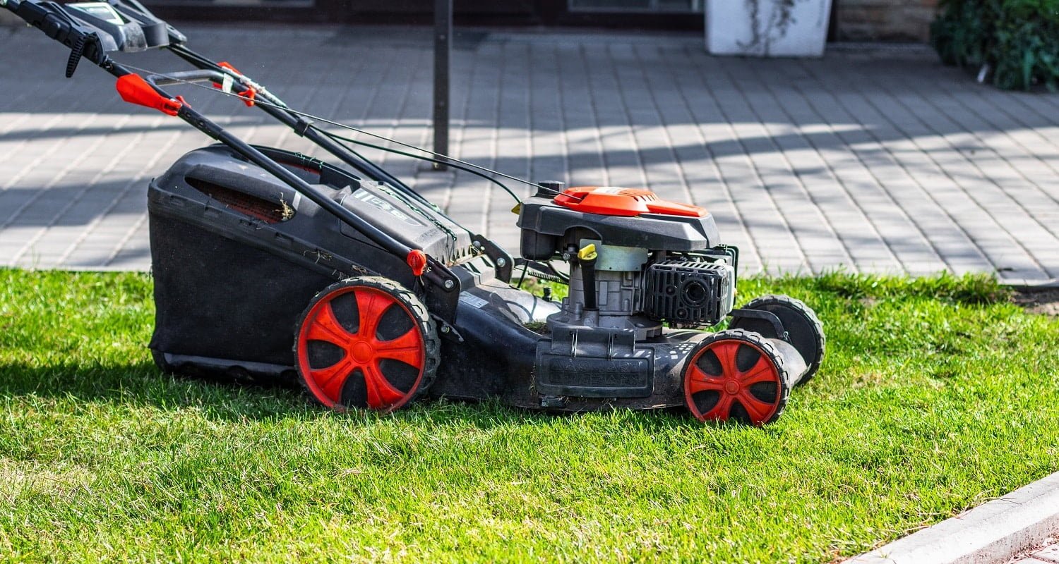 Lawn mower cutting green grass in backyard on a sunny day. Garden cleaning services.